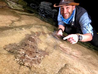 Faszinierende Tierwelt mit Coyote Peterson