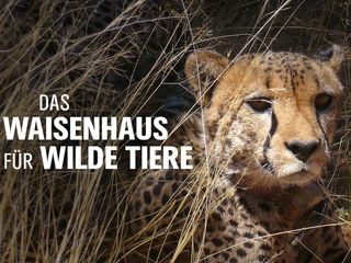 Das Waisenhaus für wilde Tiere - Abenteuer Afrika