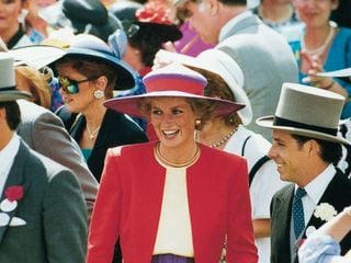 The Princess - Lady Diana