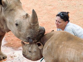 Die Superkräfte der Tiere