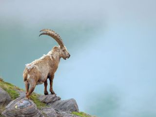 Naturerbe Österreich