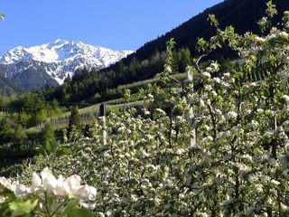 Südtirol