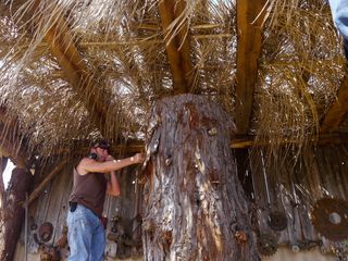 Redwood Kings - Träume aus Holz