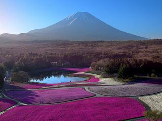 Japan - Land der fünf Elemente