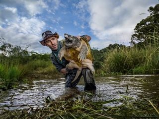 Faszinierende Tierwelt mit Coyote Peterson