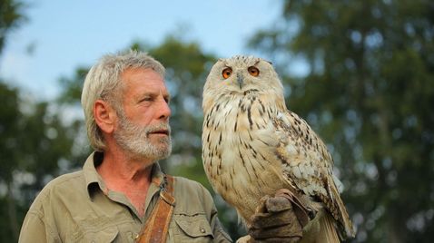 Die Falknerei am Rennsteig