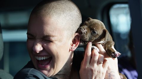 Amanda - Ein Herz für Hunde