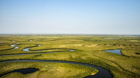 Naturwunder Okawango