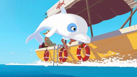 Zoom - Der weiße Delfin | TV-Programm KiKA