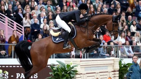 Springreiten: Weltcup - Madrid