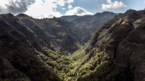 Gran Canaria und Fuerteventura | TV-Programm Arte