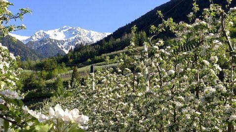 Südtirol