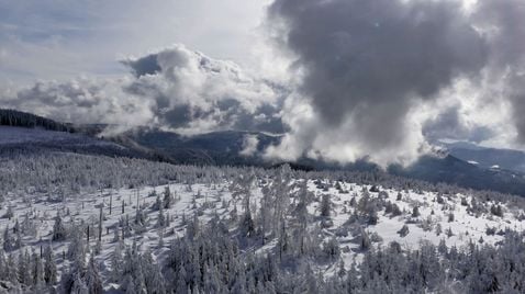 Ein Winter im Schwarzwald