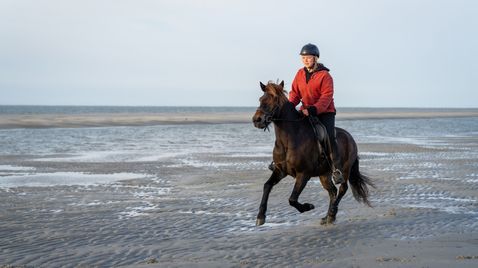 die nordstory: Durchstarten auf Spiekeroog | TV-Programm NDR