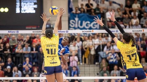 Volleyball Live - Bundesliga | TV-Programm SPORT1