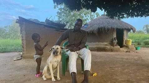 Uganda: Hunde der Hoffnung