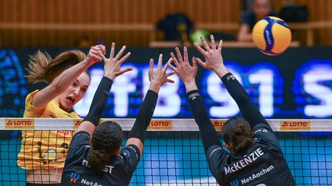 Volleyball Live - Bundesliga