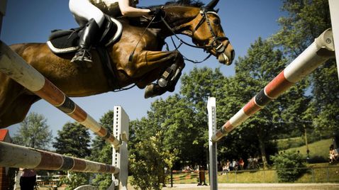 Springreiten: League of Nations St. Gallen