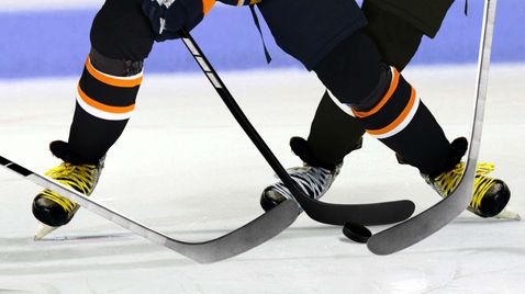 Eishockey - Svenska Hockeyligan - Finals
