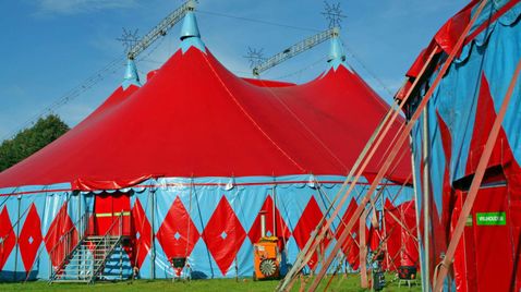 Stars in der Manege