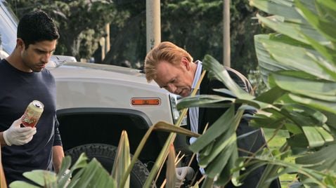 CSI: Miami