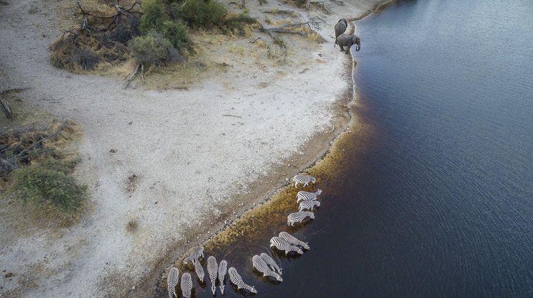 Expedition ins Okavangodelta