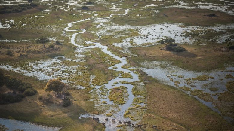 Expedition ins Okavangodelta