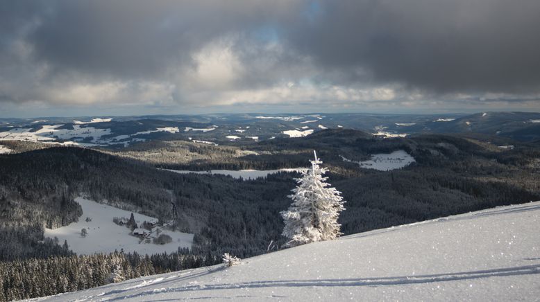 Winter im Hochschwarzwald