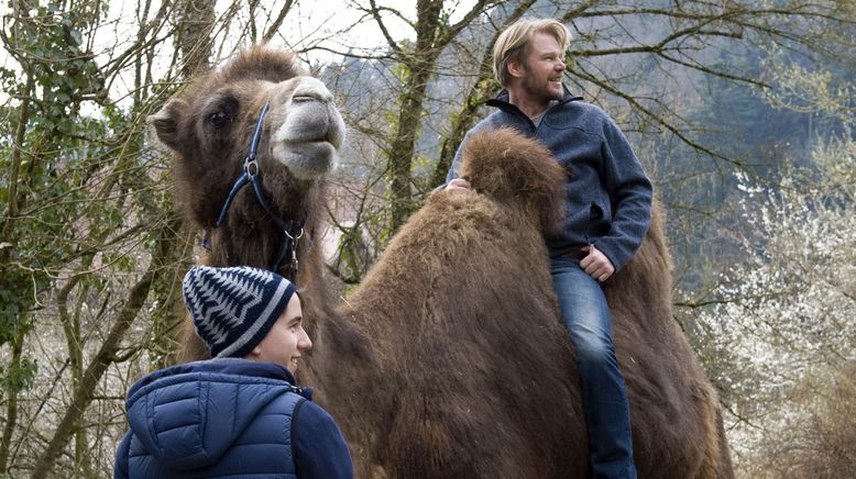 Tiere bis unters Dach