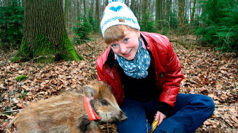 Paula und die wilden Tiere