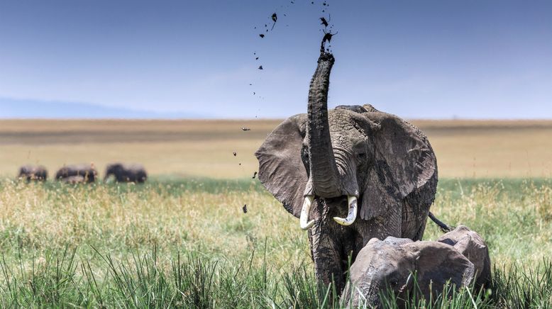 Afrikas Naturwunder - Ein Tag wie kein anderer