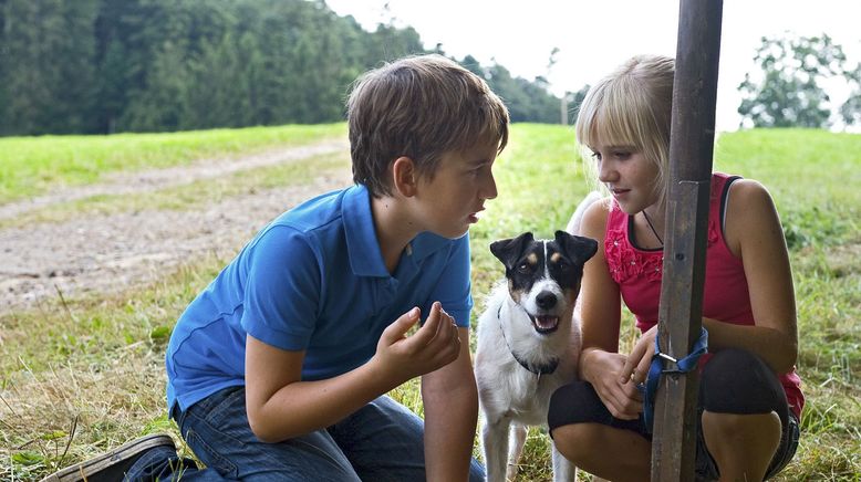 Tiere bis unters Dach