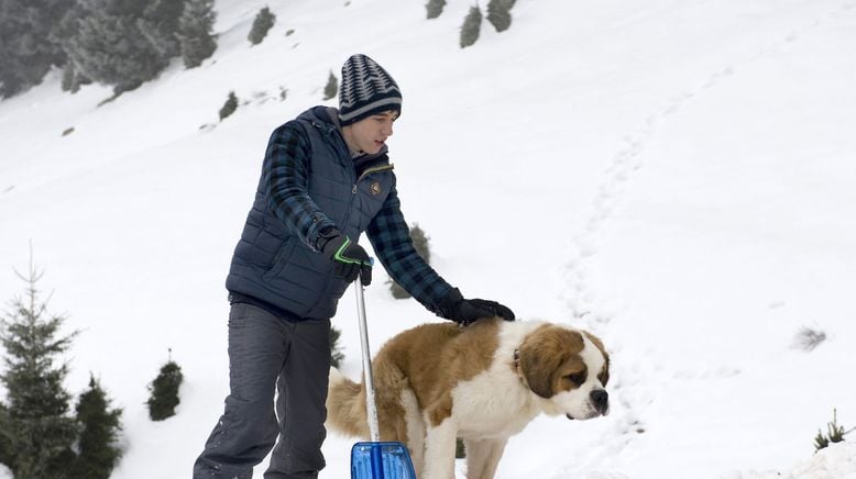 Tiere bis unters Dach