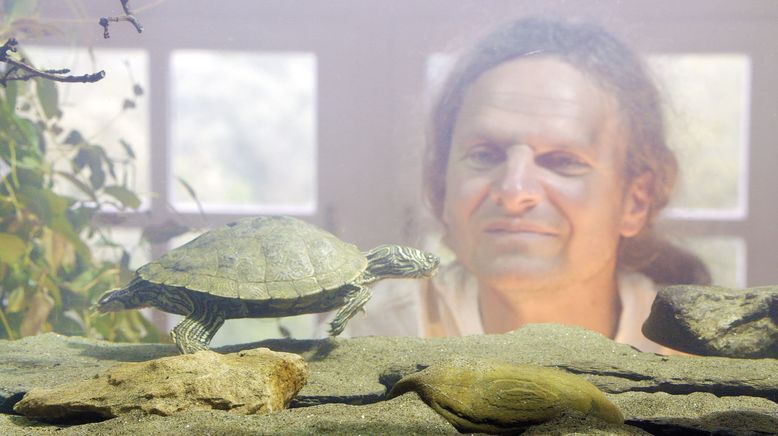 Turtle Hero - Ein Leben für die Schildkröten