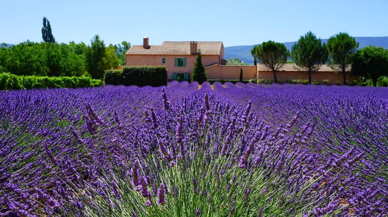 Die Provence mit allen Sinnen erleben