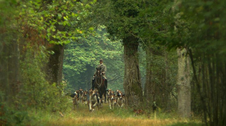 Jagdkumpane - Wie der Hund auf den Menschen kam