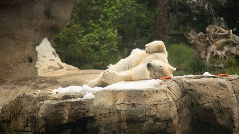 San Diego Zoo