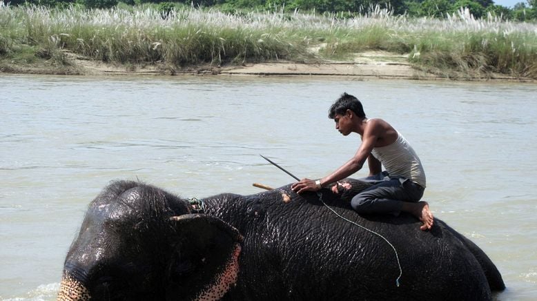 Reisen in ferne Welten: Nepal