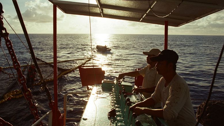 Taiwan: Die Insel der Fische