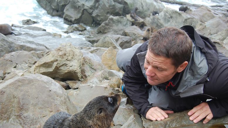 Deadly 60 - Die gefährlichsten Tiere der Welt