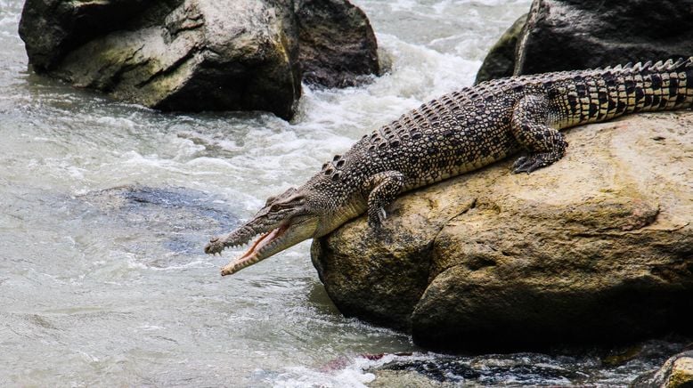 Australien - Magische Tierwelt