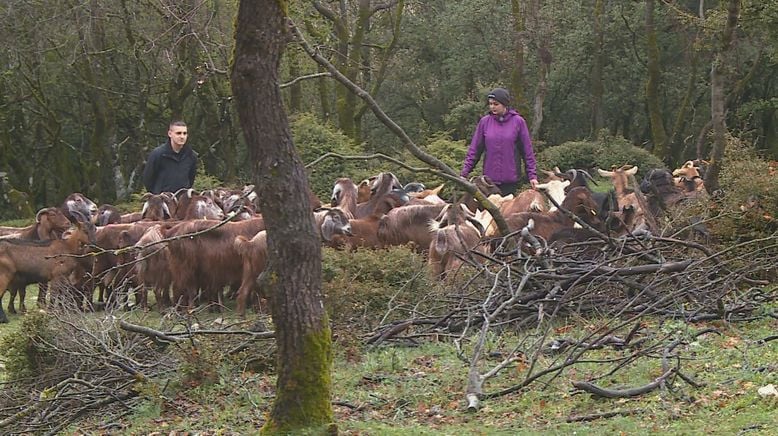 Durch die Wildnis - Das Abenteuer Deines Lebens - Nordgriechenland