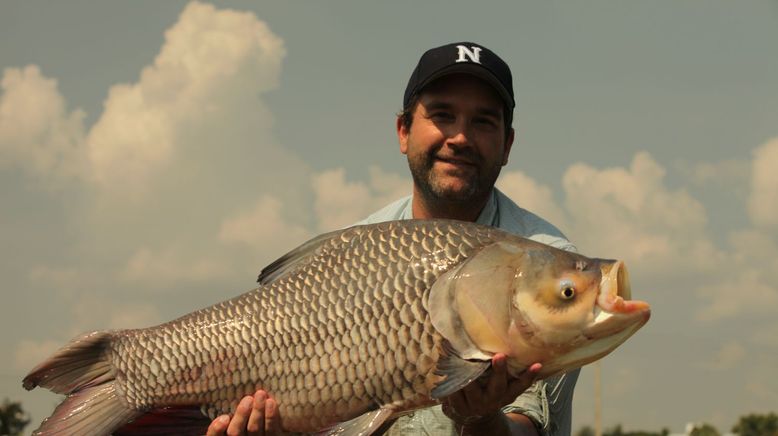 Auf der Suche nach dem Monsterfisch