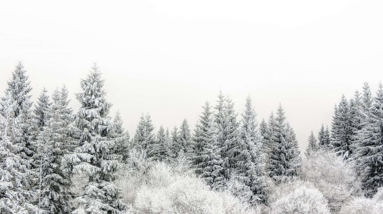 Sagenhaft - Advent im Weihnachtsland