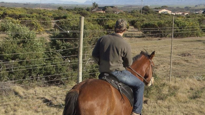 Am Kap der wilden Tiere