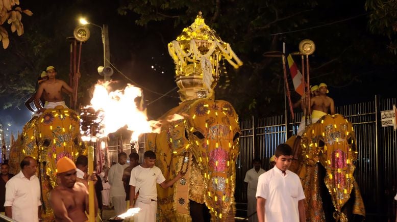 Sri Lankas Peraheras - Sakrale Elefantenprozessionen