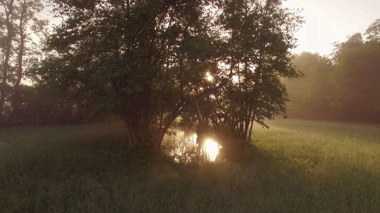 Der unsichtbare Fluss