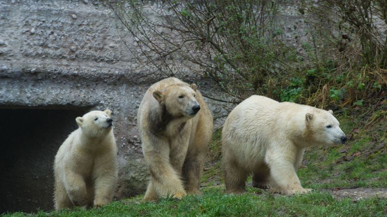 Neues aus dem Münchner Tierpark Hellabrunn