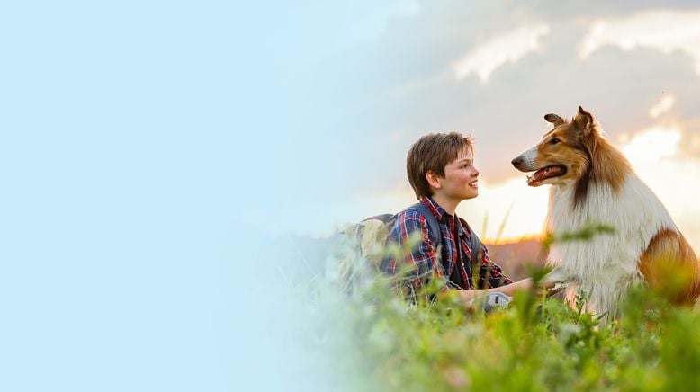 Lassie: Eine abenteuerliche Reise