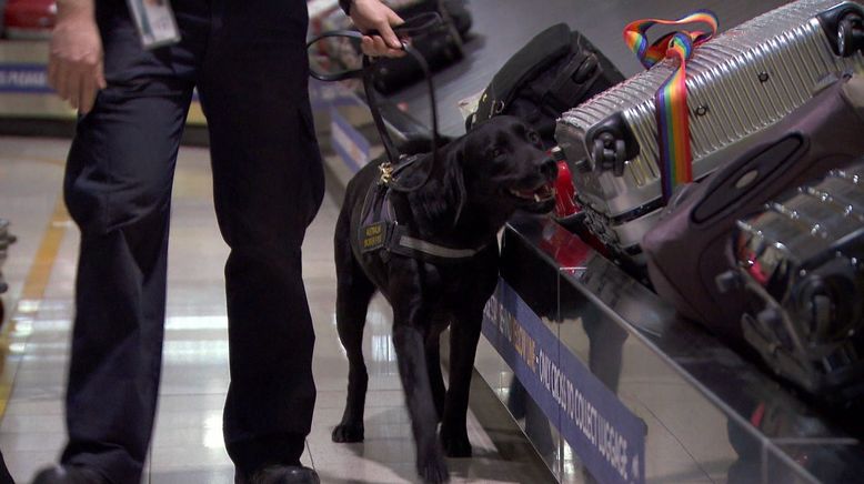 Border Patrol Australia